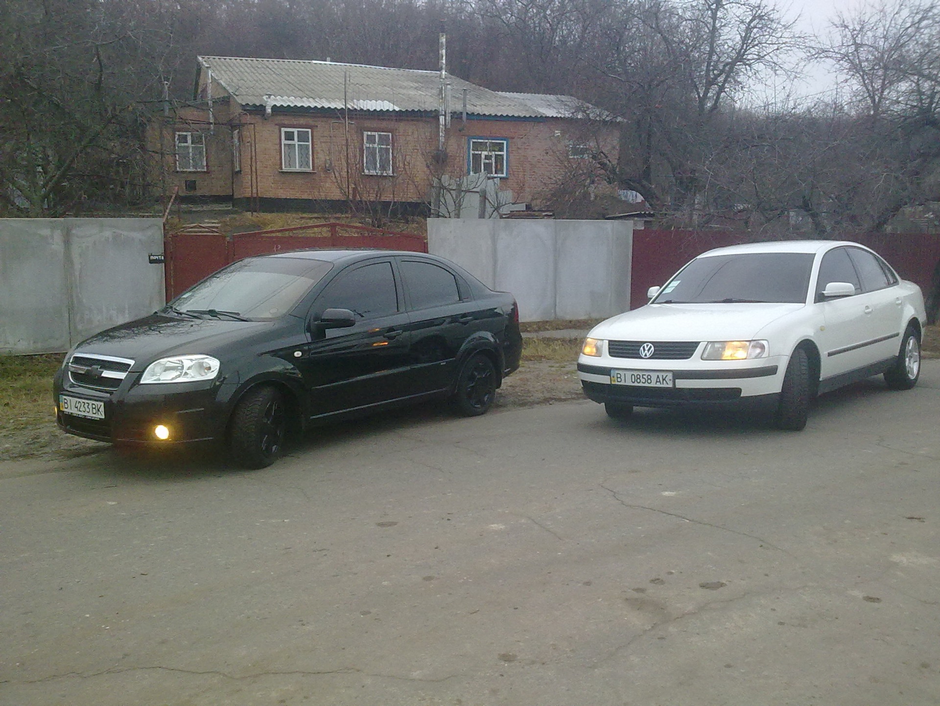 Нові фотки 5