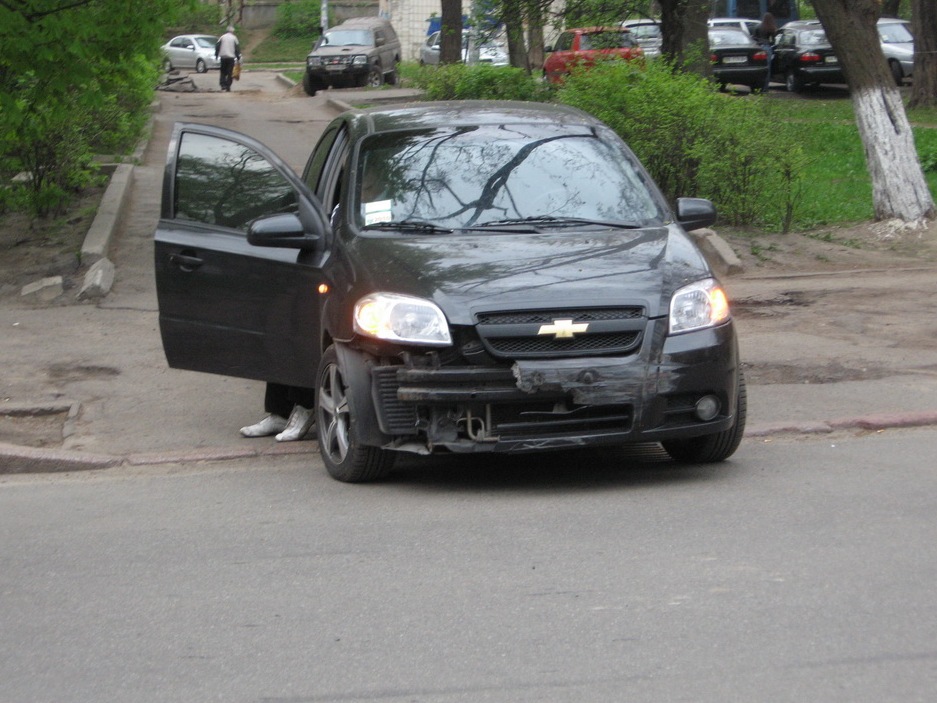 Авішка перевірена на міцність) 1