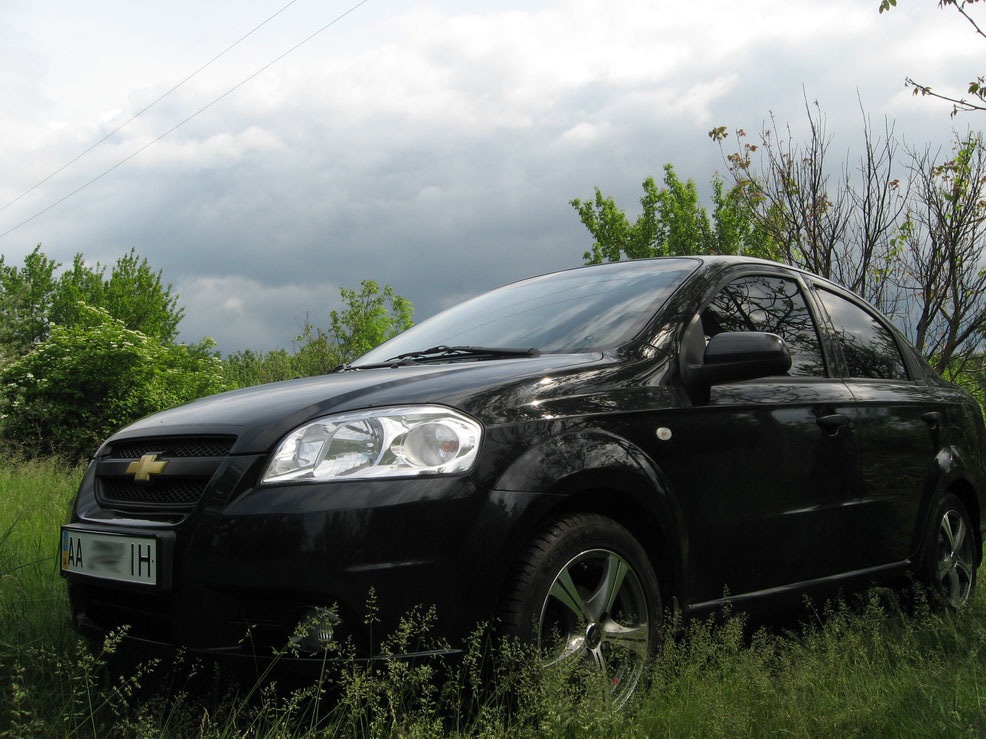 Фото на дачі) 3