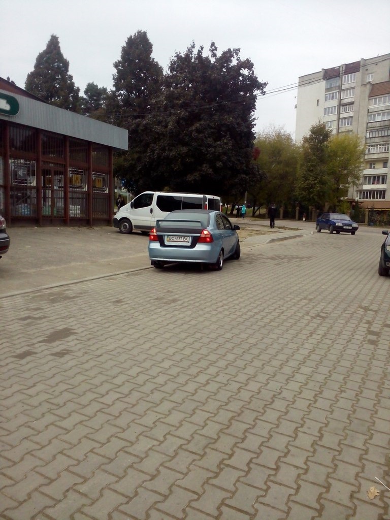 Пару овечок 1