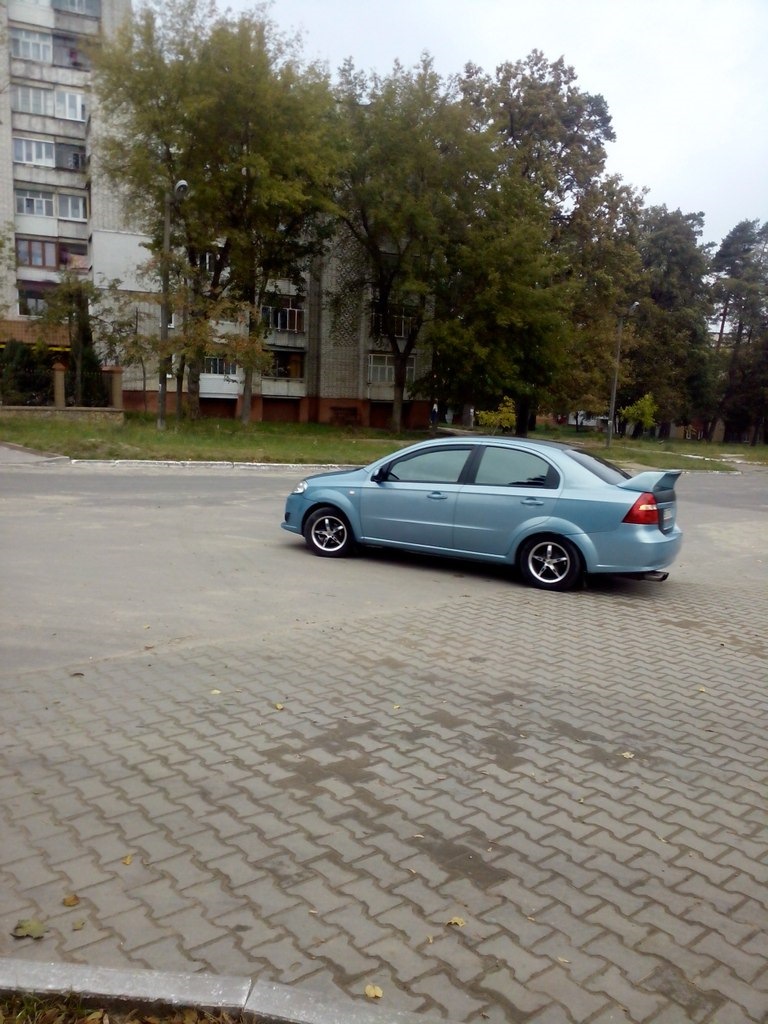 Пару овечок 2