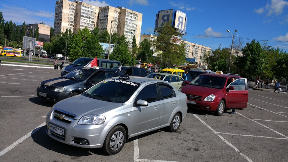 Вихідний, пробіг, Фотосет з таксюганом=) 1