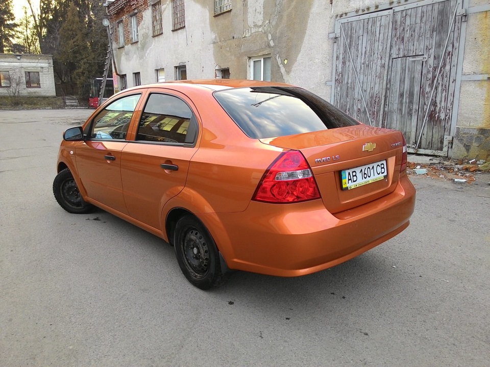 Помилися і пофоткалися 4