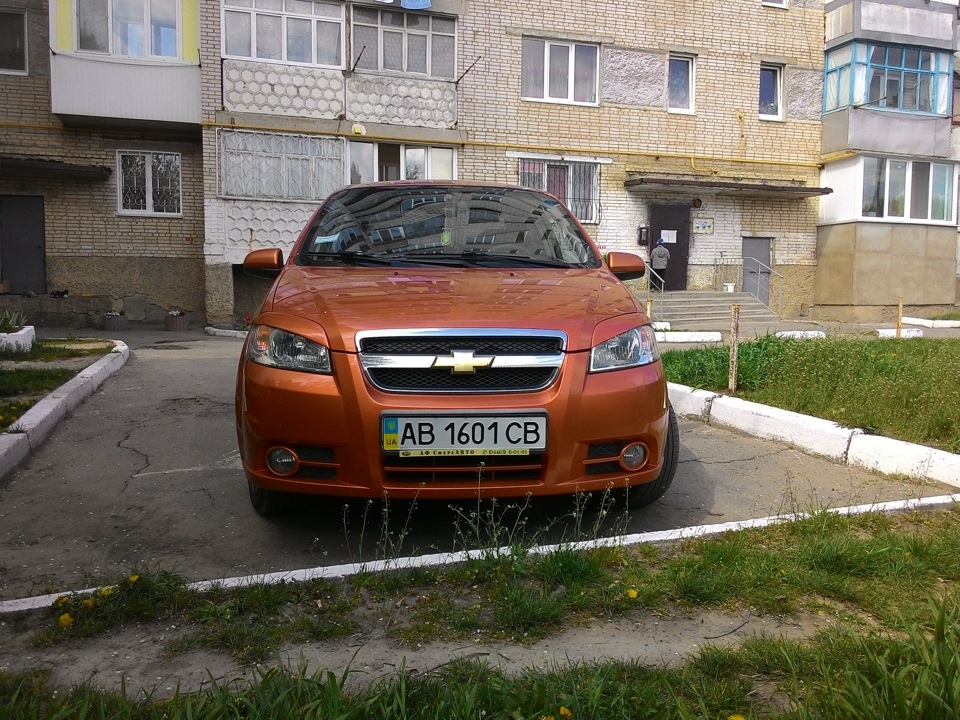 Вії аля EngryLook 1