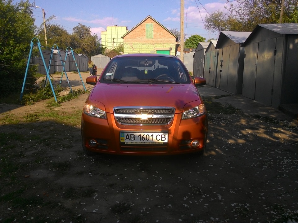 Вії аля EngryLook 5