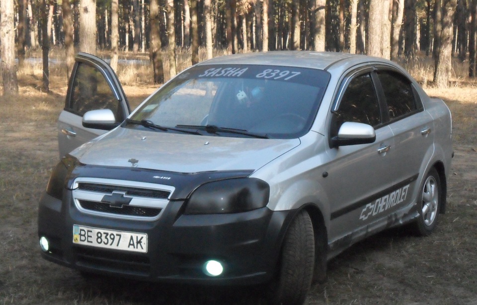 на галявині в ЛІСУ! 1