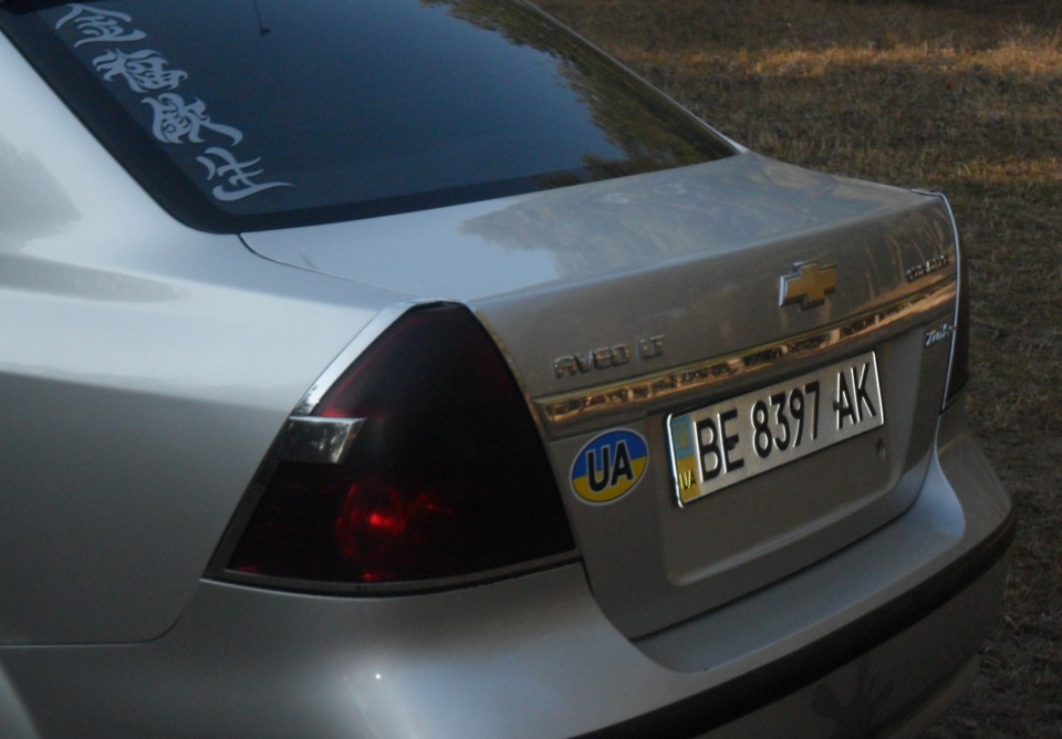 на галявині в ЛІСУ! 3