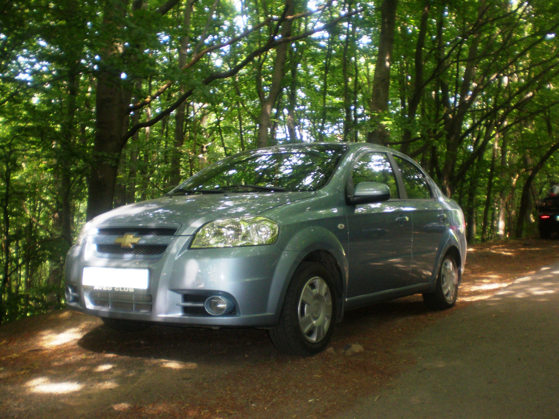 2011 summer photos 4