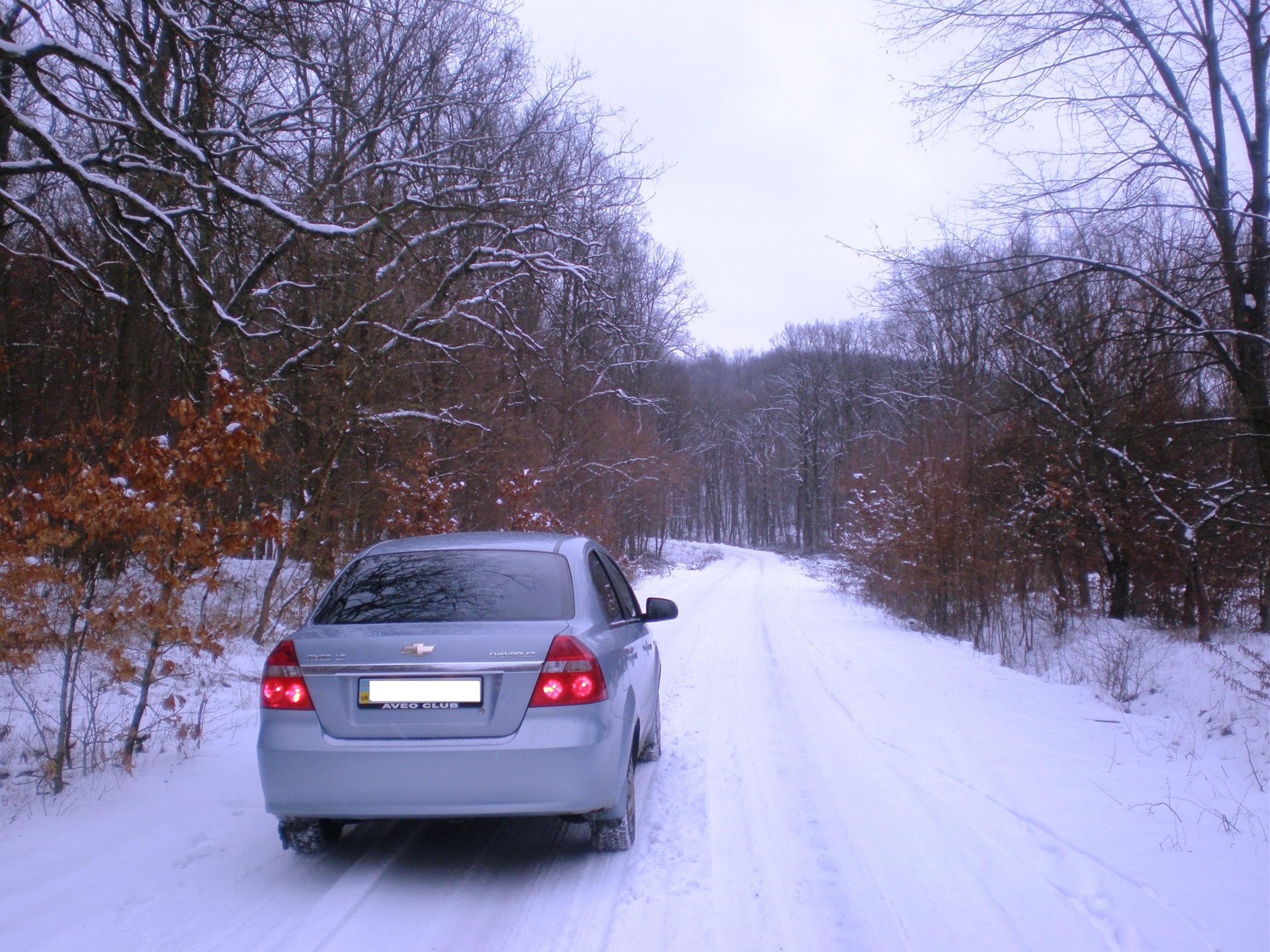 2011 winter photos 1