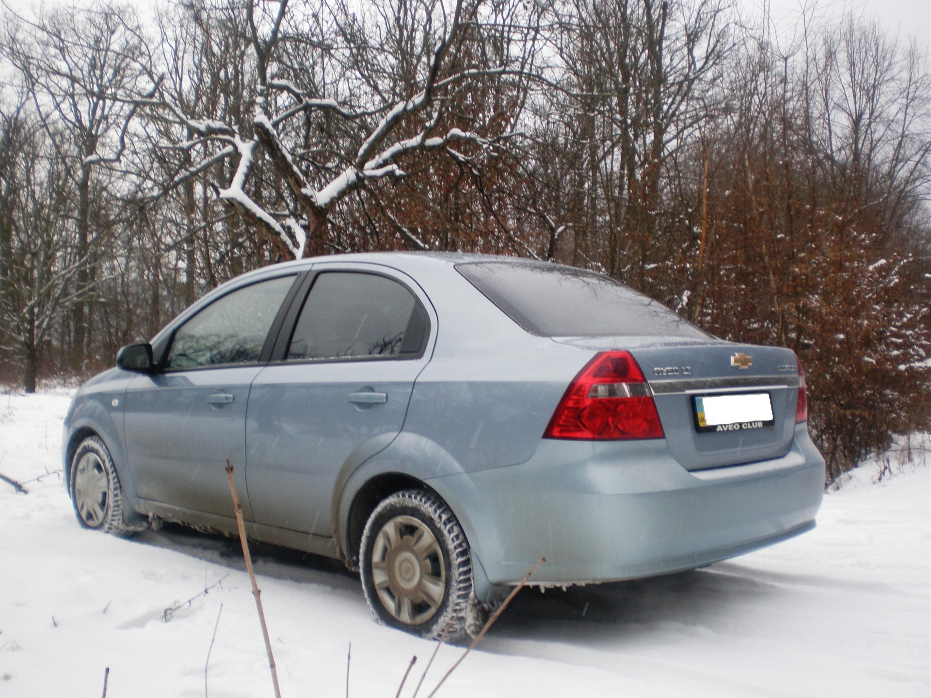 2011 winter photos 2