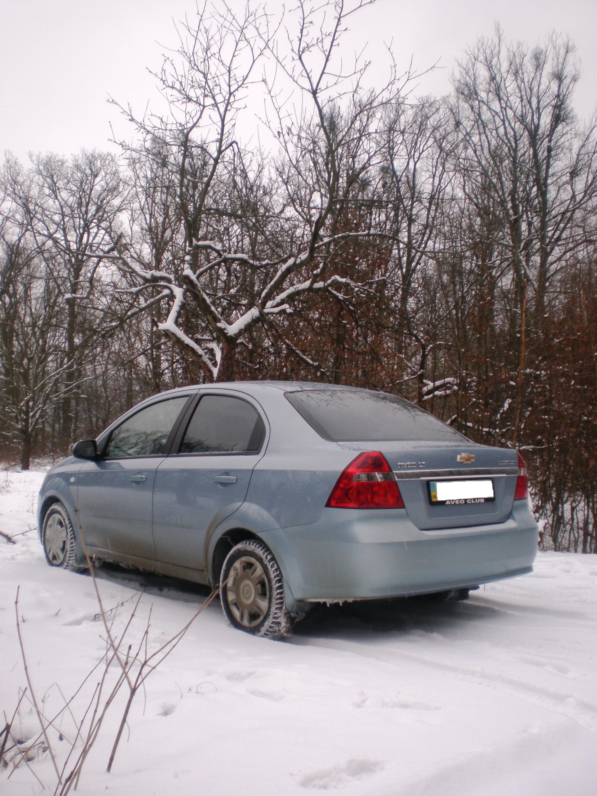 2011 winter photos 4