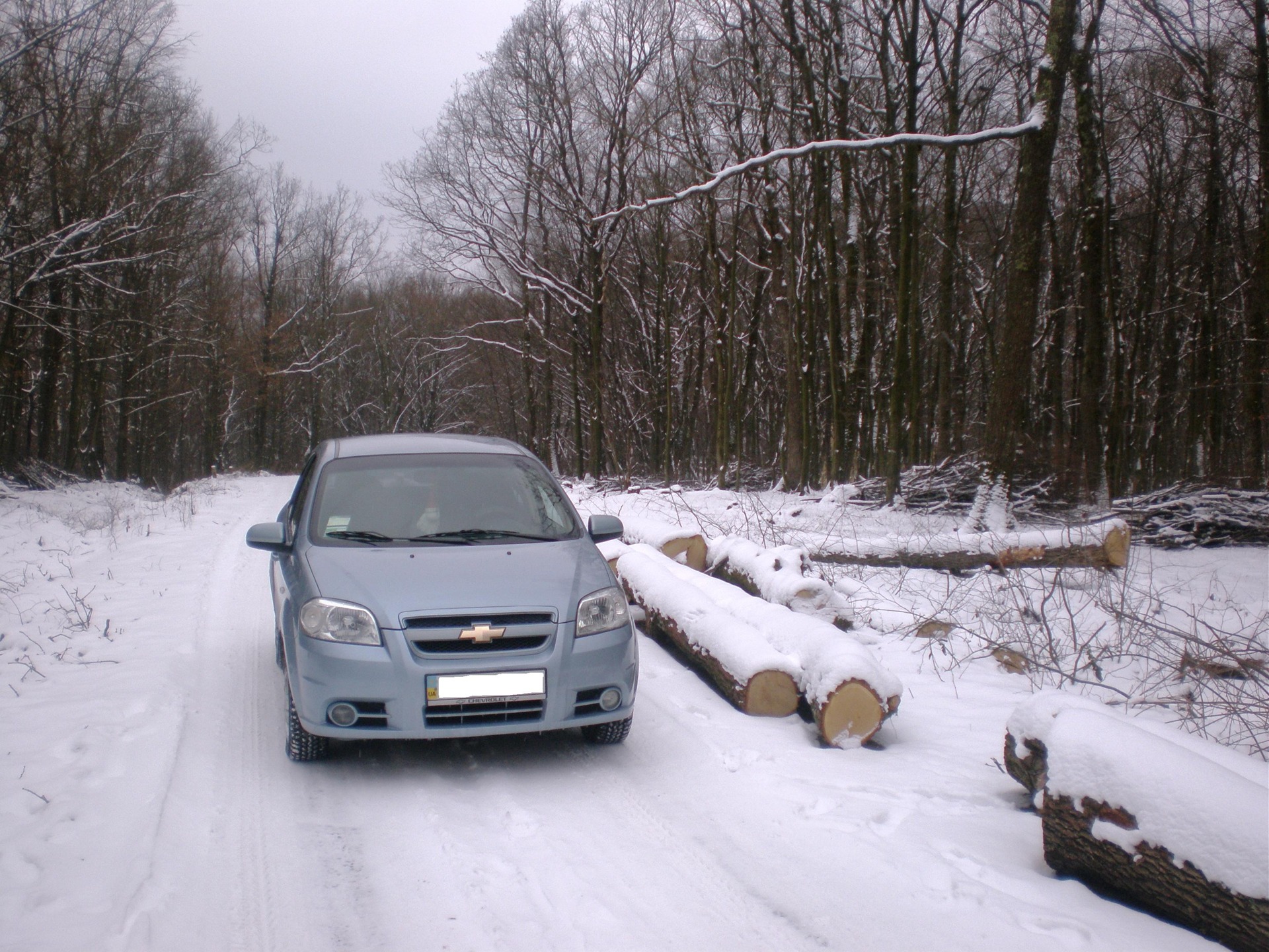 2011 winter photos 5