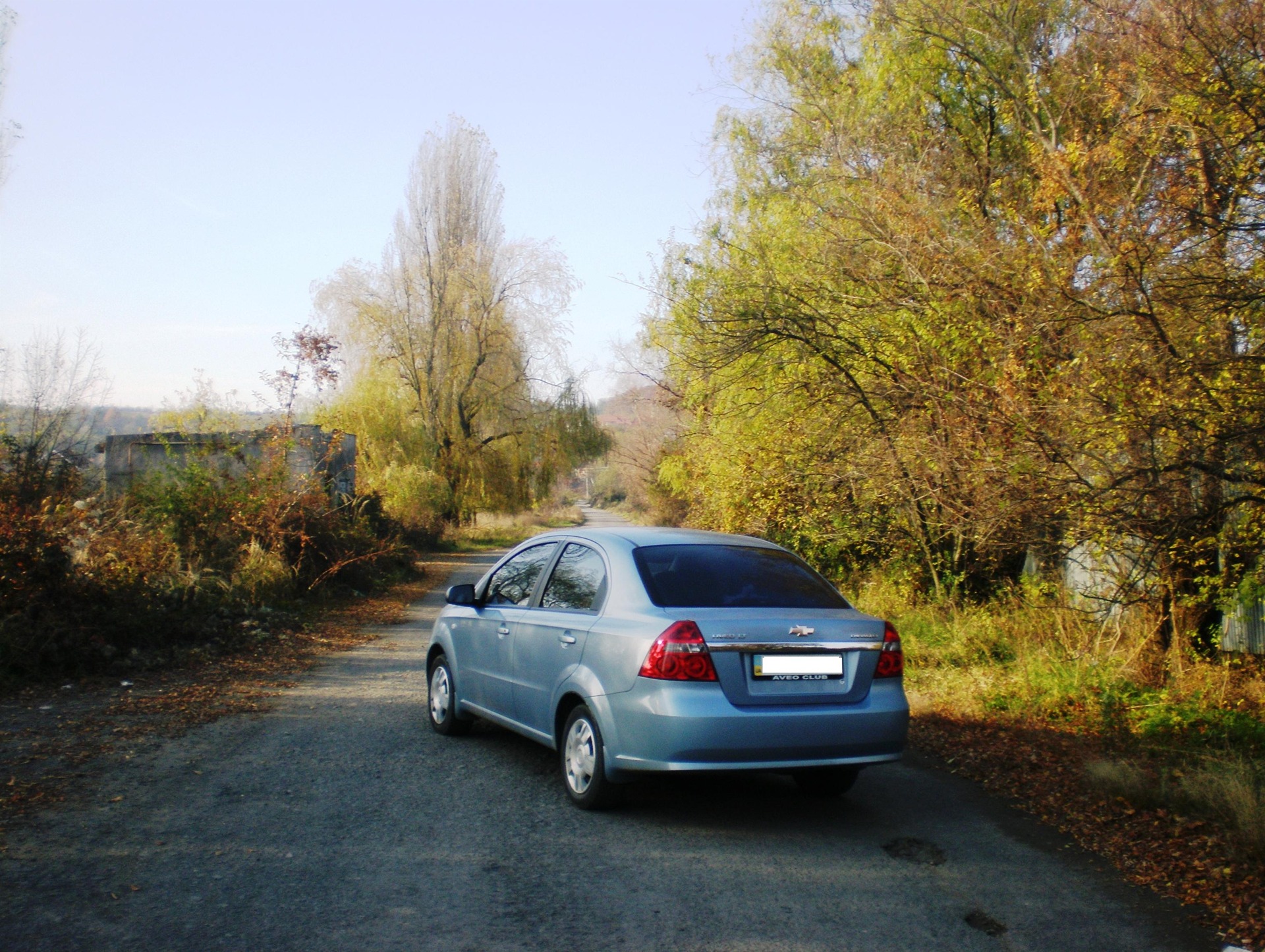 autumn photos 5