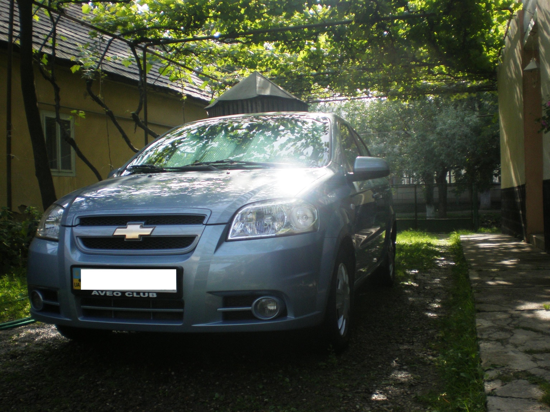first summer photos 3