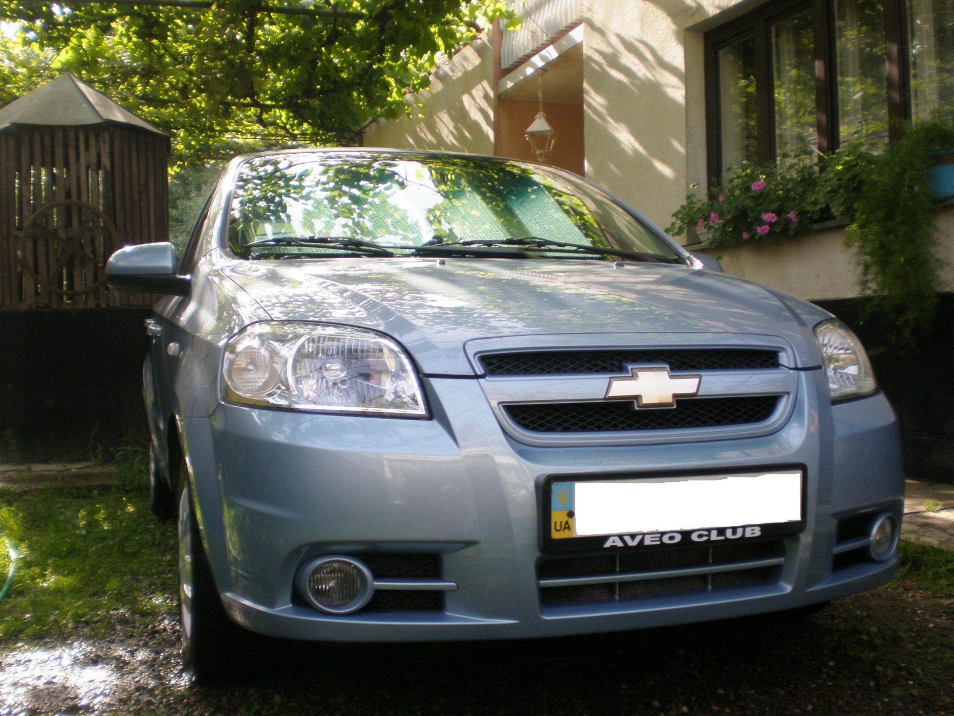 first summer photos 5