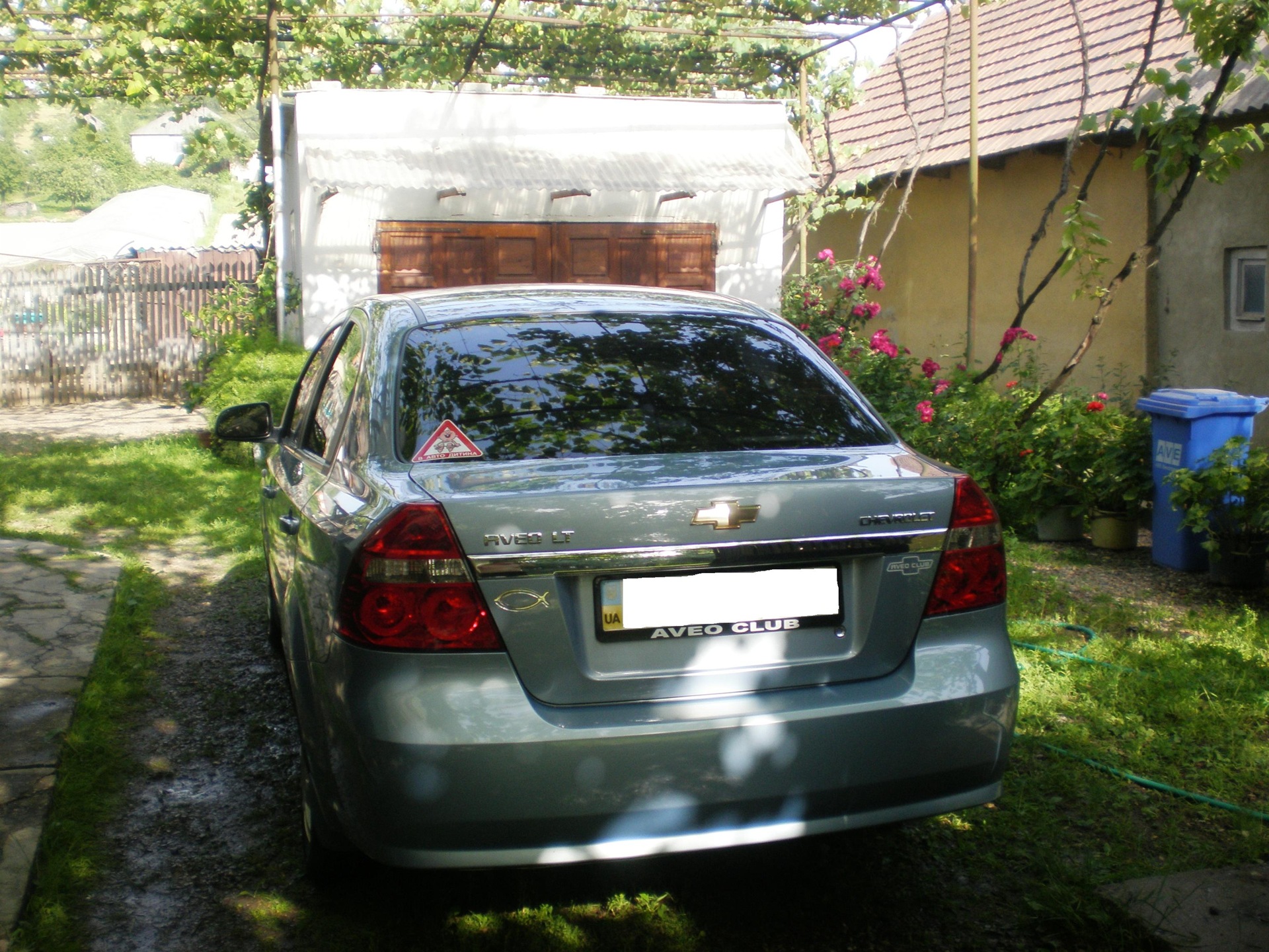 first summer photos 4