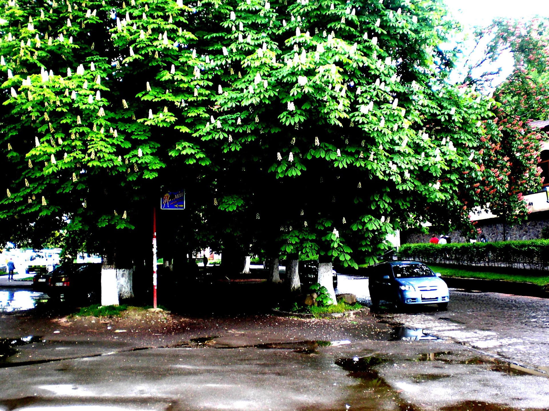 just photos 5