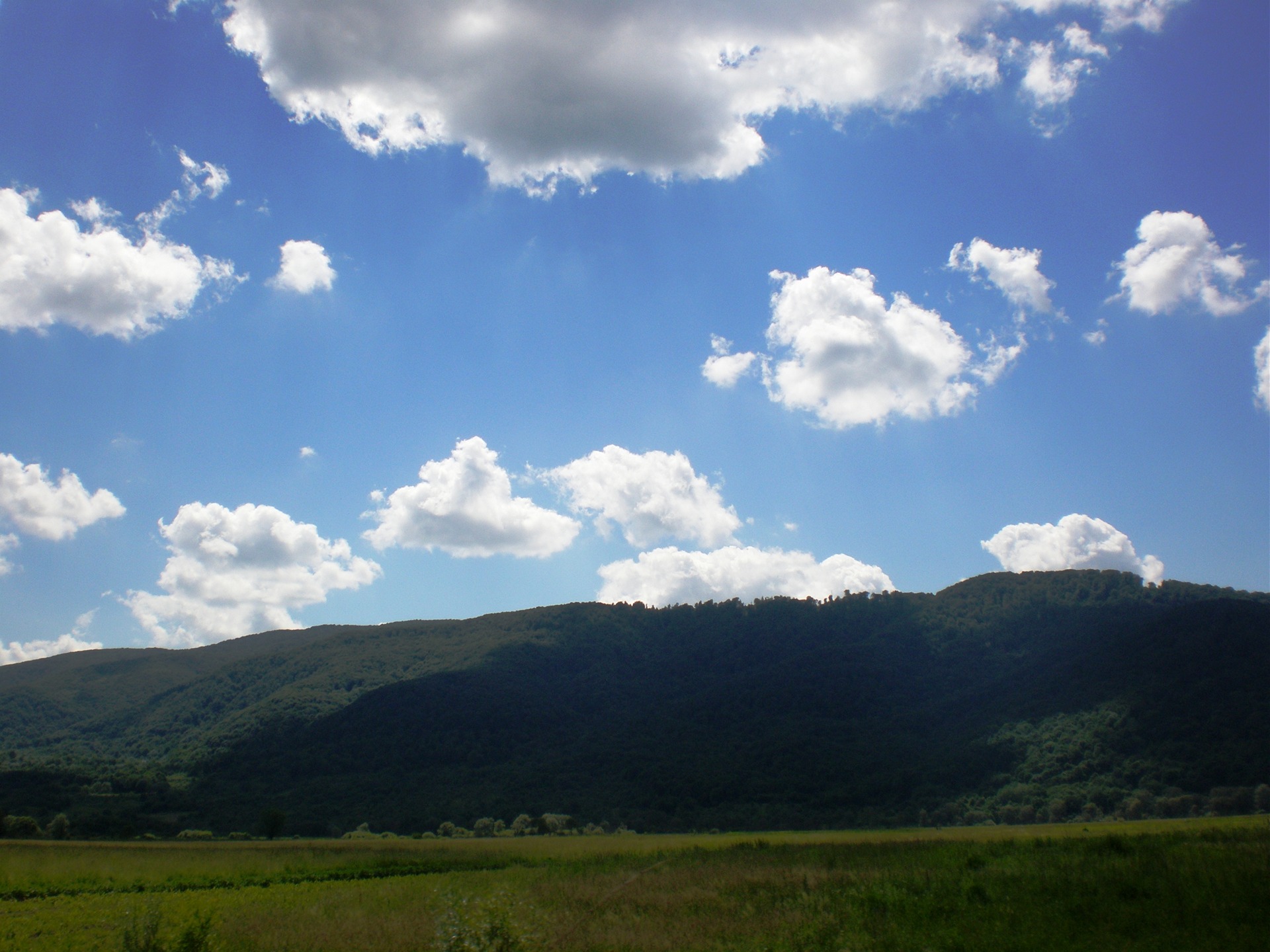 my summer (як я провів літо) 1