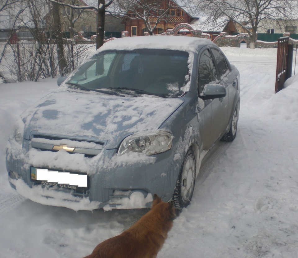 снігова зима 2