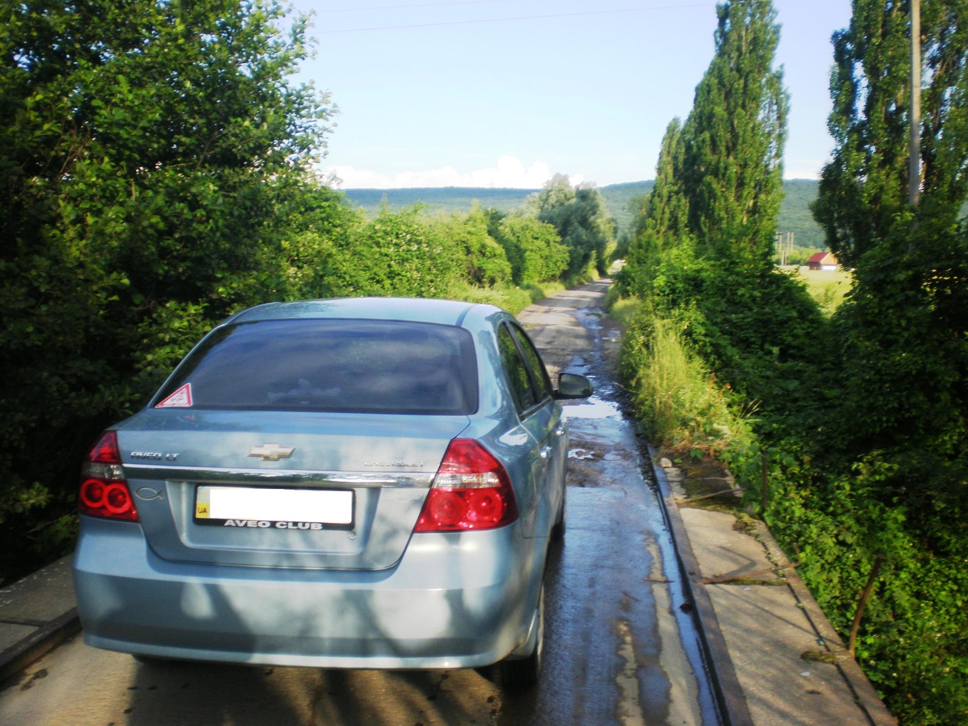 summer photos 5