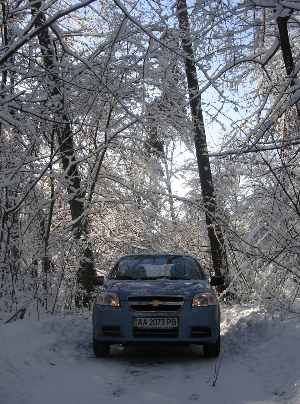 Січень вирішив згадати, що він зима)