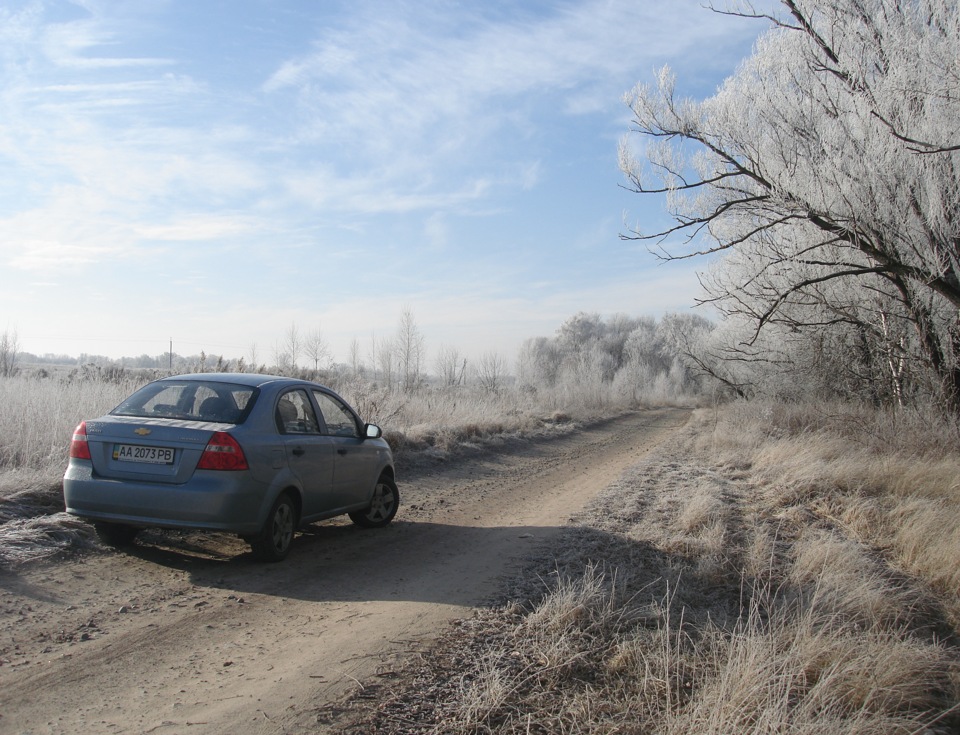 Передворічна фотосесія 5