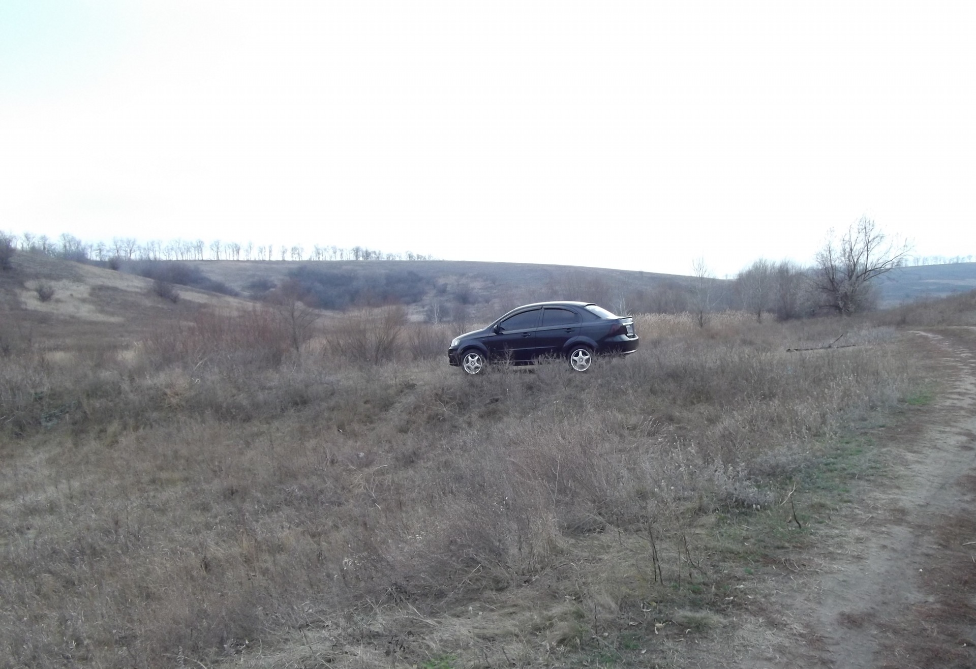покатушки в полі 1