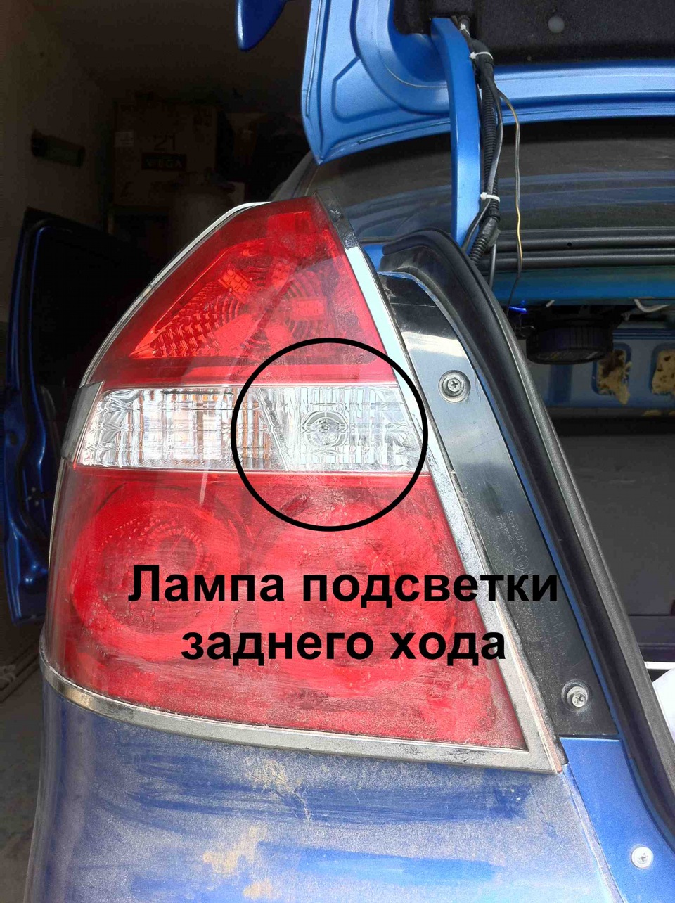 Галогенки у ліхтарі заднього ходу. 5