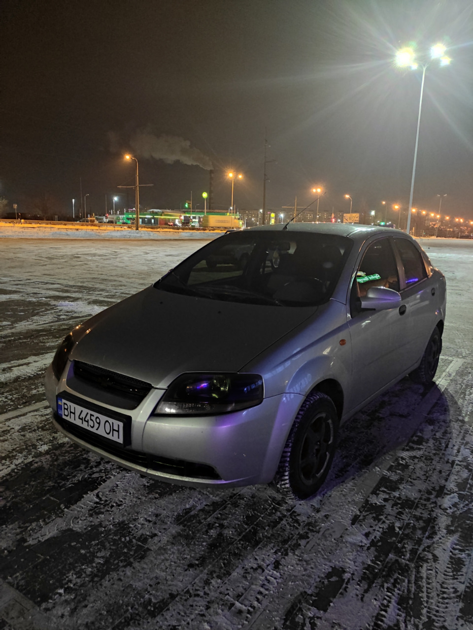 Вівці стайлінг 🤯 2