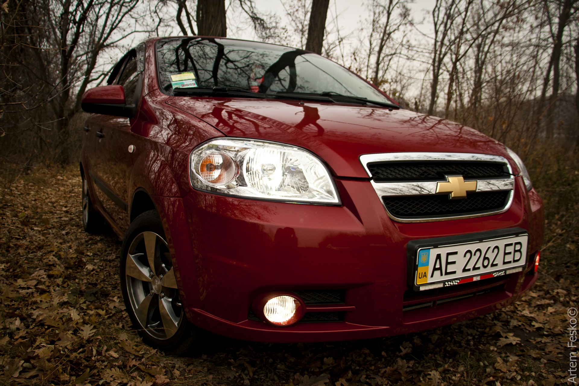 Фото на природі! 1