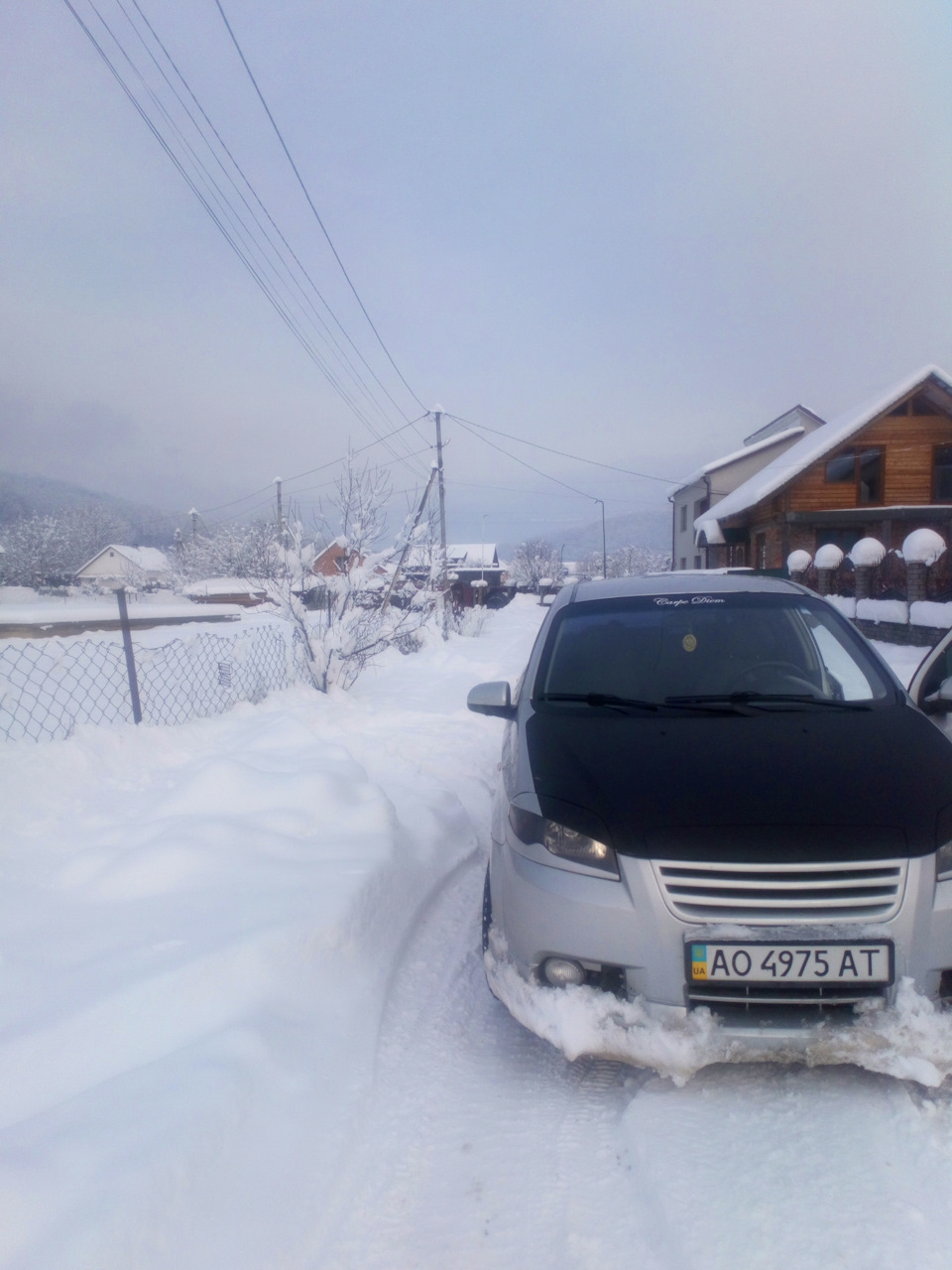 Відновлення обвісів після зими❄️ 4