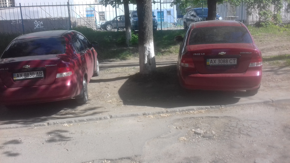 Зустріч))) 1