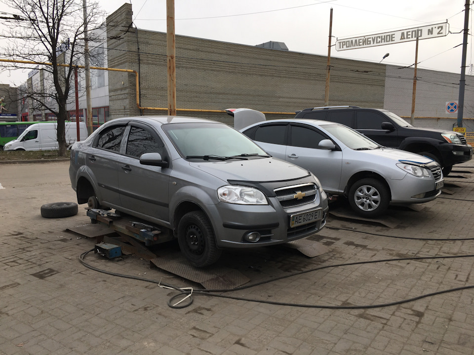 Перевзувся на літо, помив Авечку 3