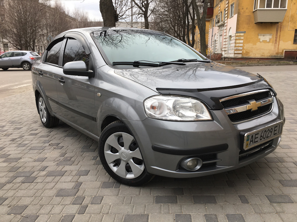 Перевзувся на літо, помив Авечку 1