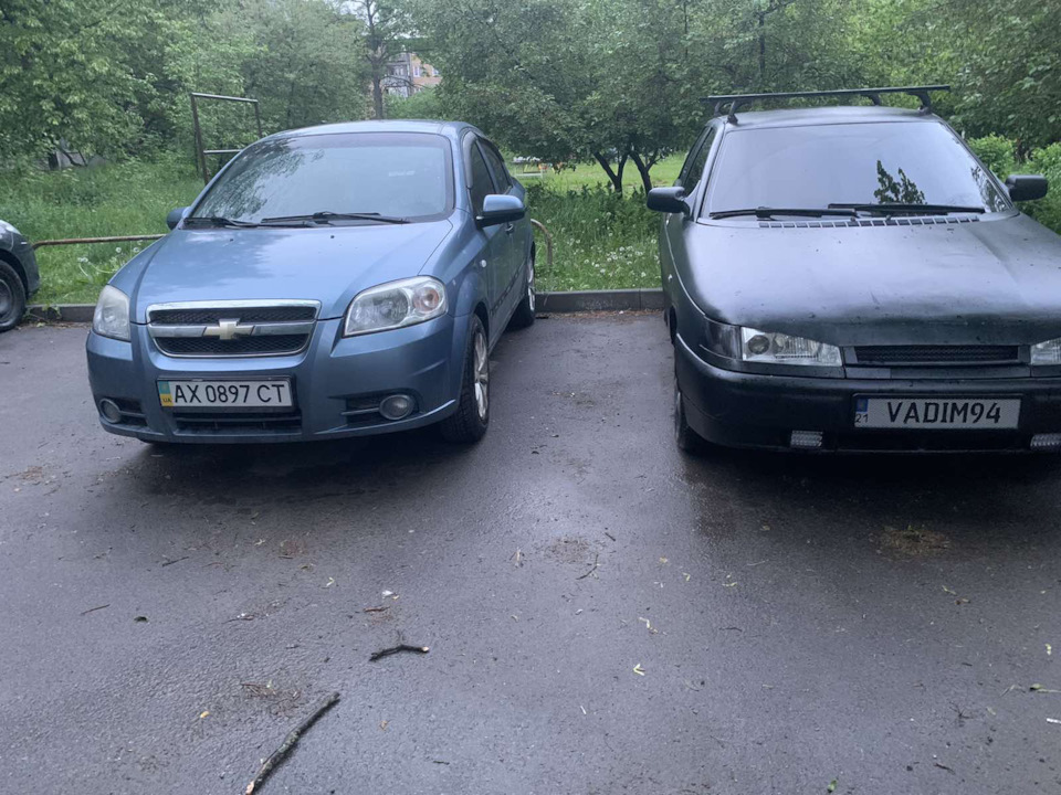Красуні в безпечному помсті 💪 1