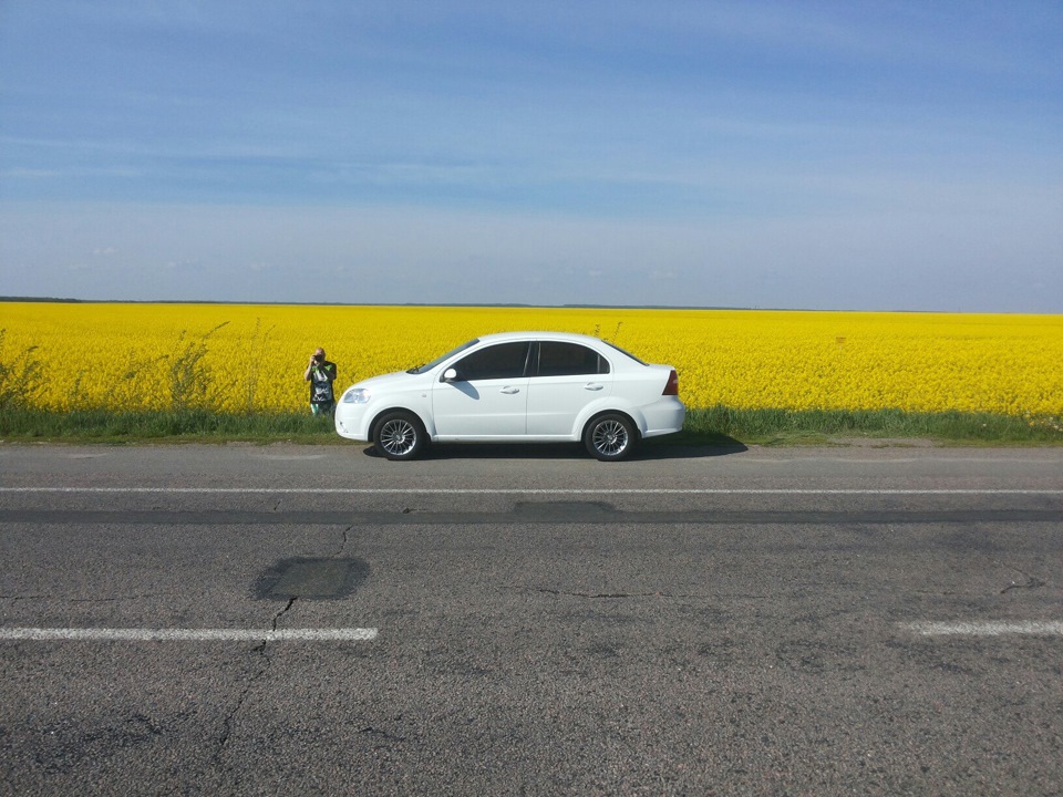 Київ - Умань та повний бак. 5