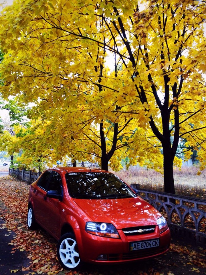 Фотки з другом) 4