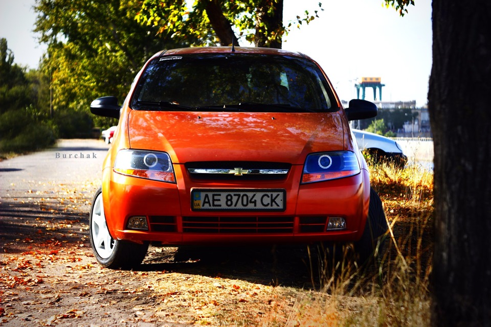 Нові Чохли, компанії Автопілот! 4