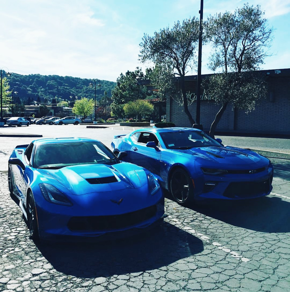 🔵💙 2