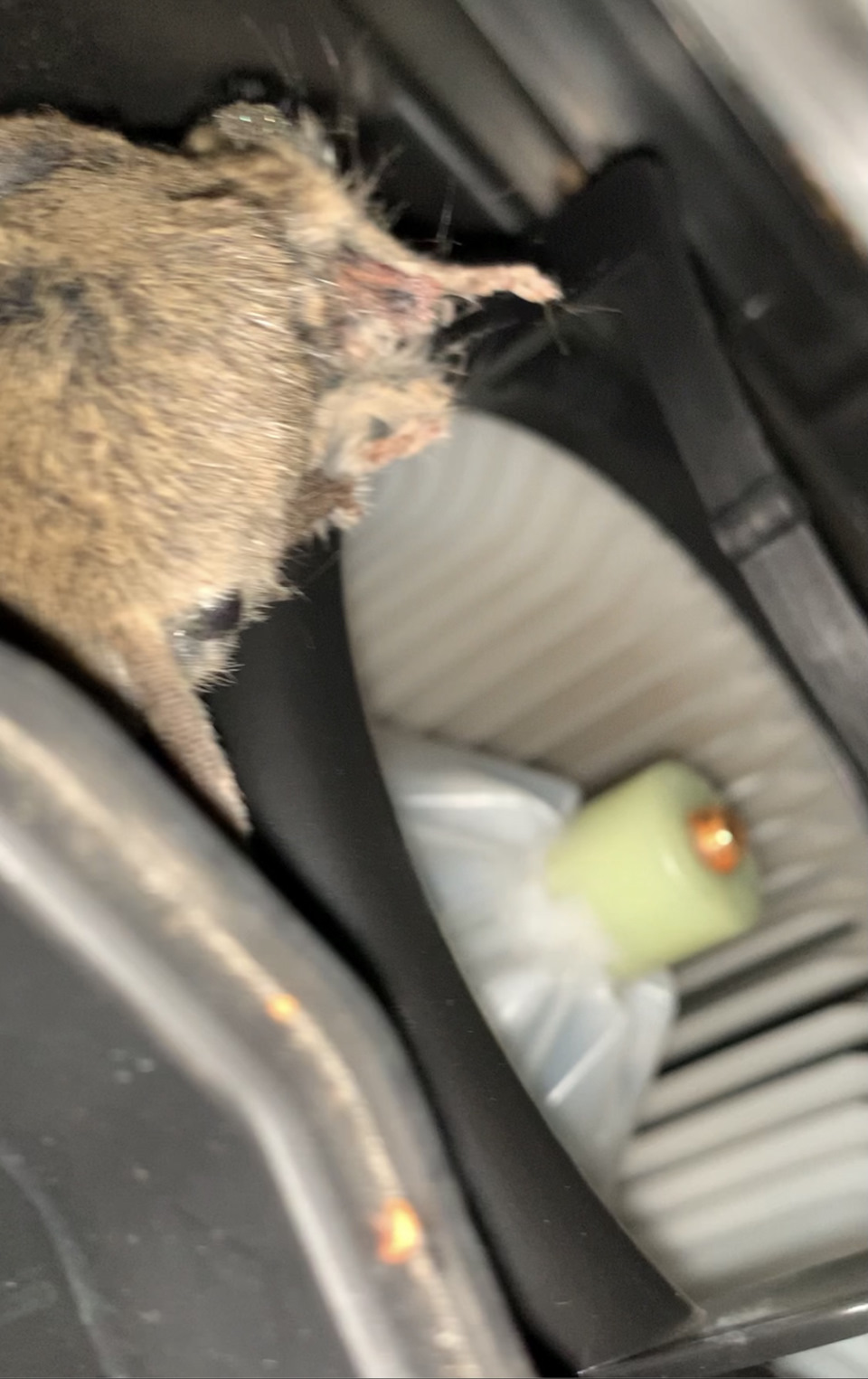За два роки перша неприємність( 3