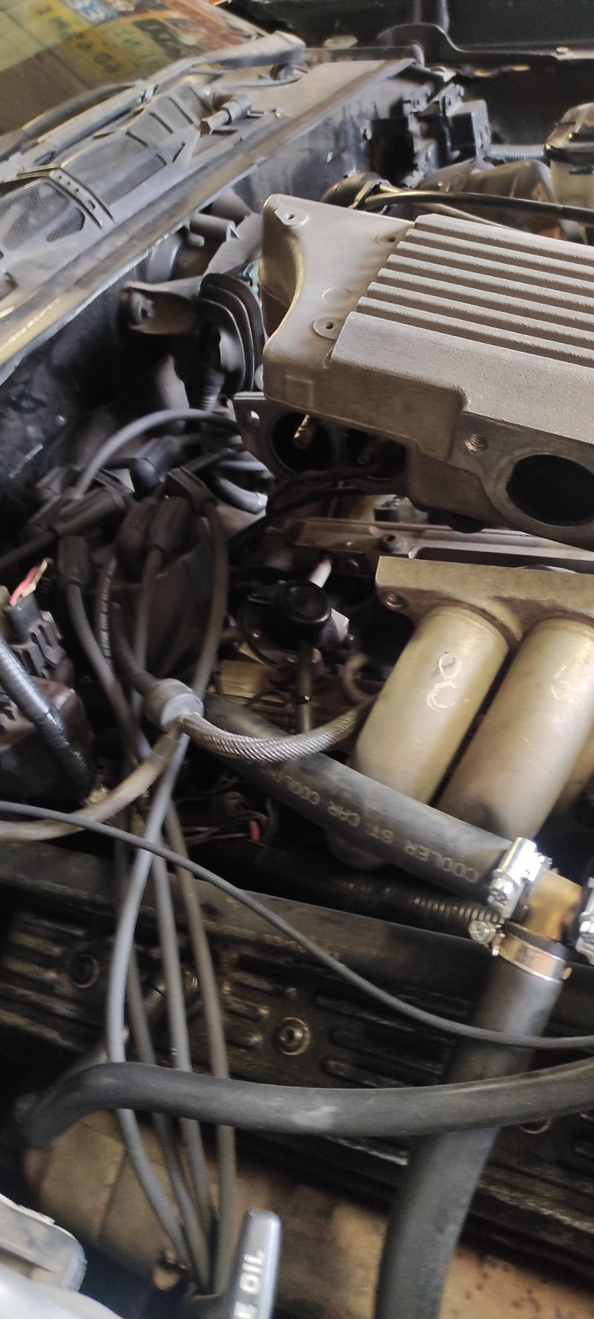 Слава мембрані…⛽ 2