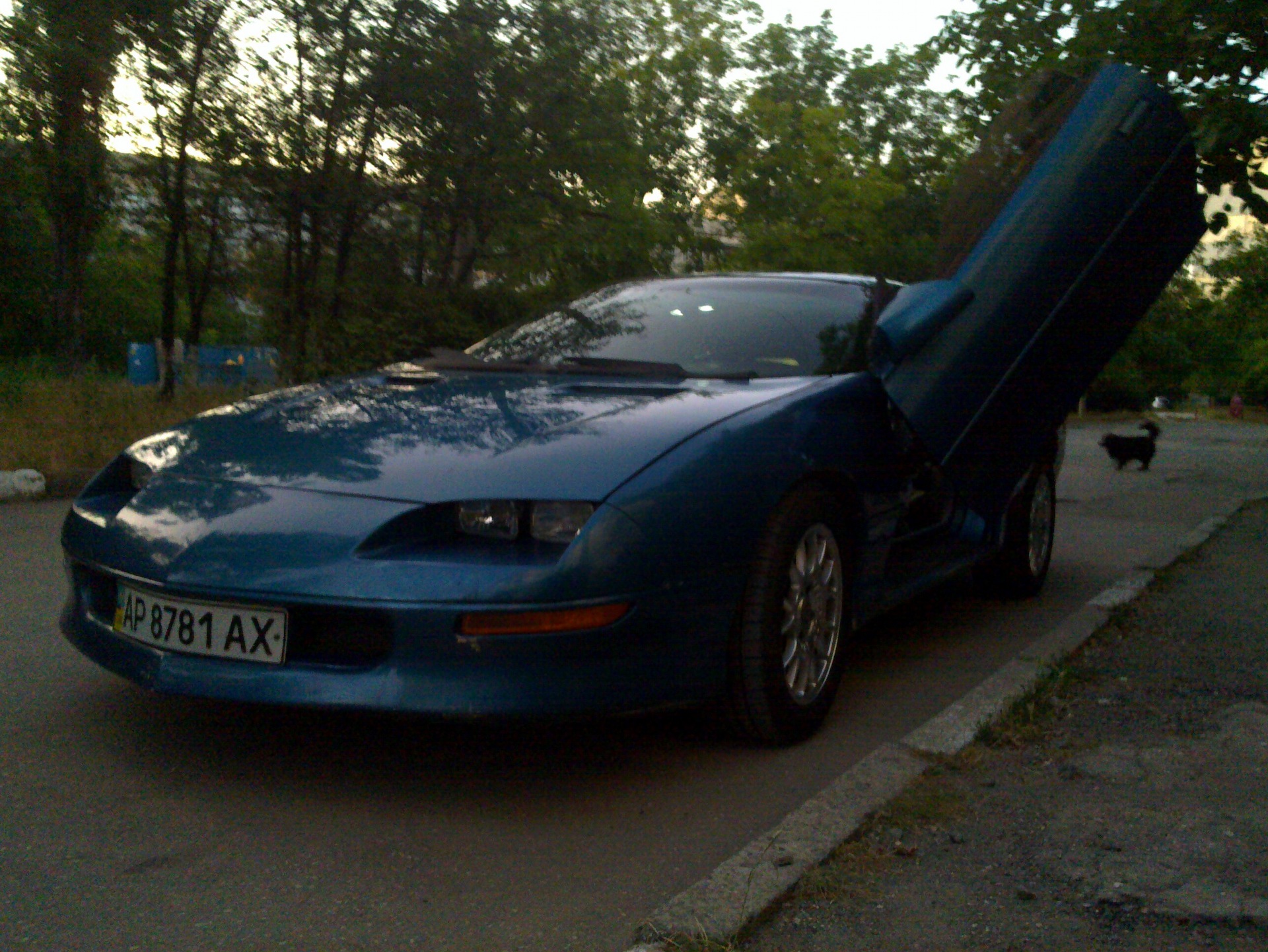 ламбо двері 1
