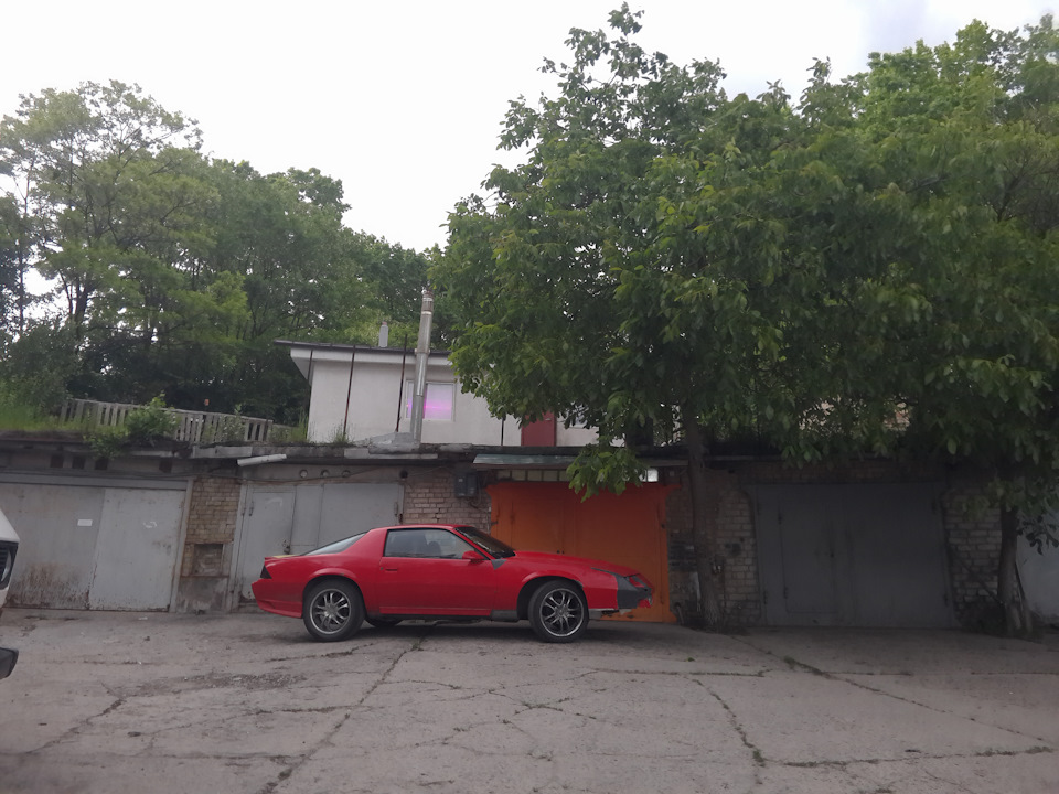 чергові картинки з життя 4