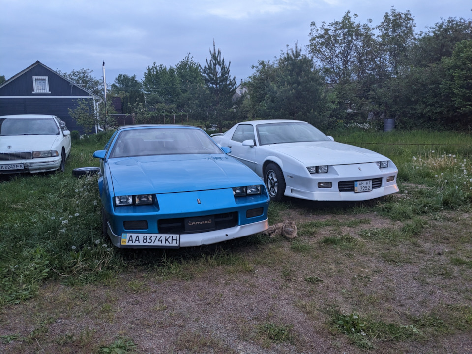 Дружній візит 3