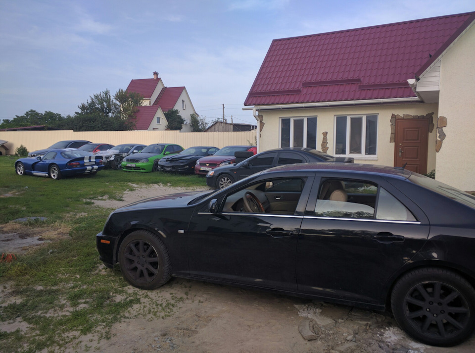Корми на місці! 5