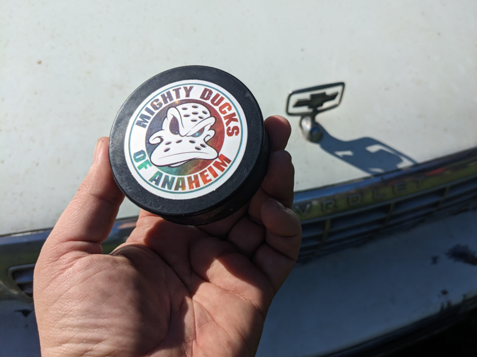 Mighty Ducks of Anaheim 1