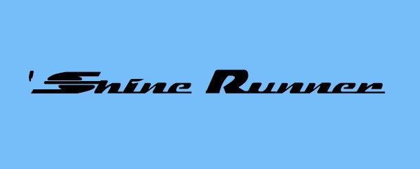 Проект отримав назву - 'Shine Runner 1