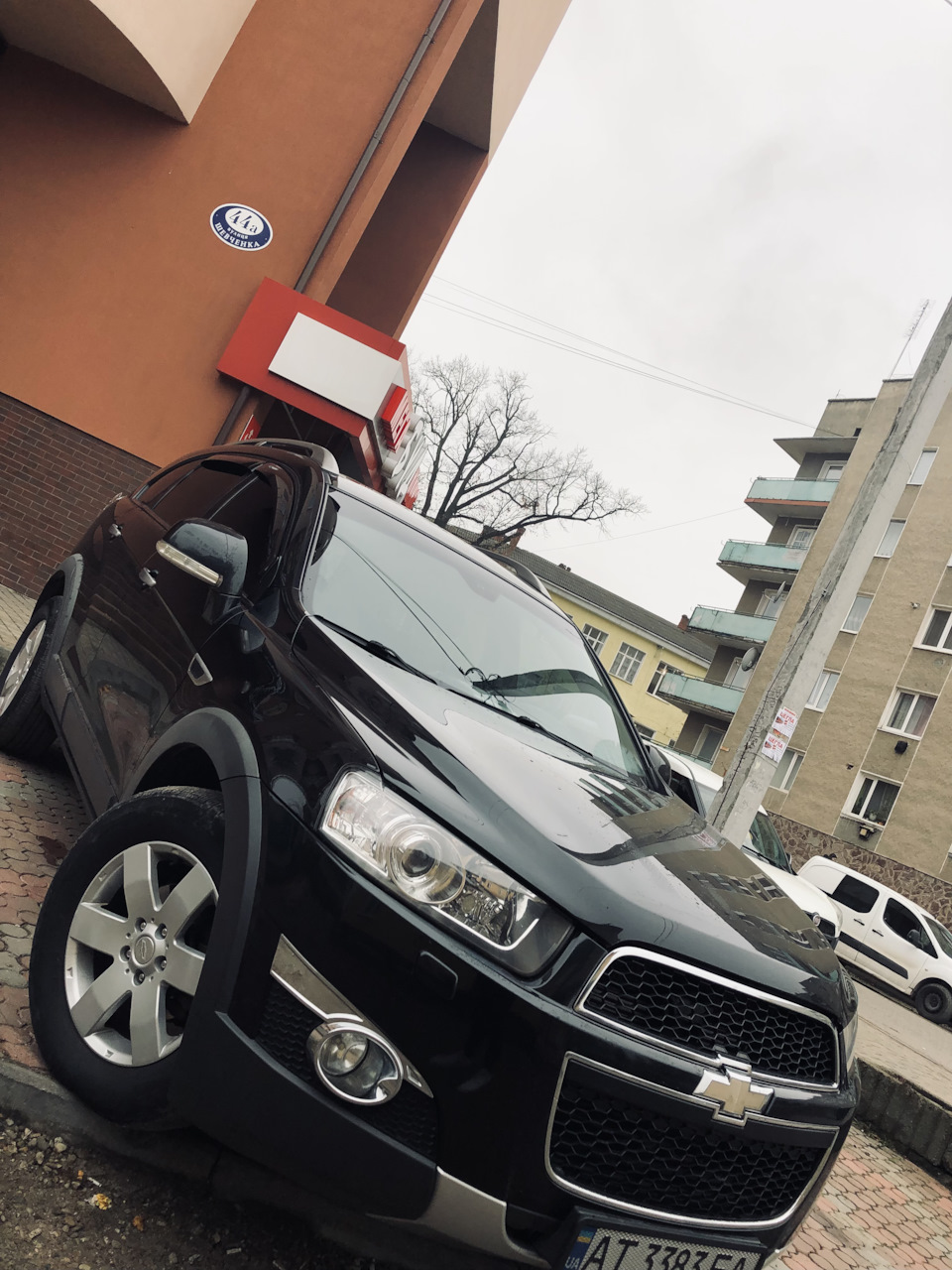 Питання до знавців 1