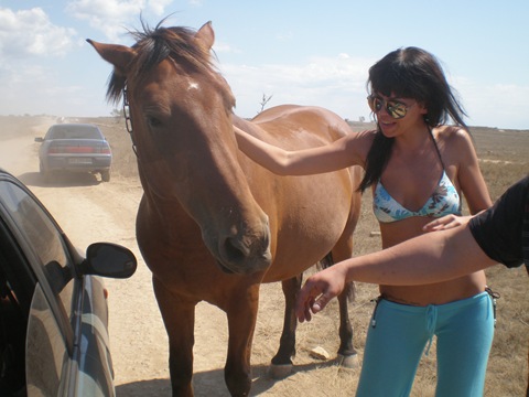 Запис, 25 серпня 2009 2