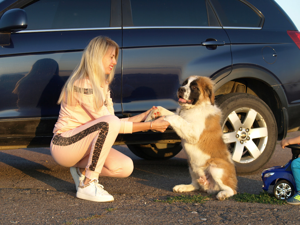 Фото з москвичем 🐕 5
